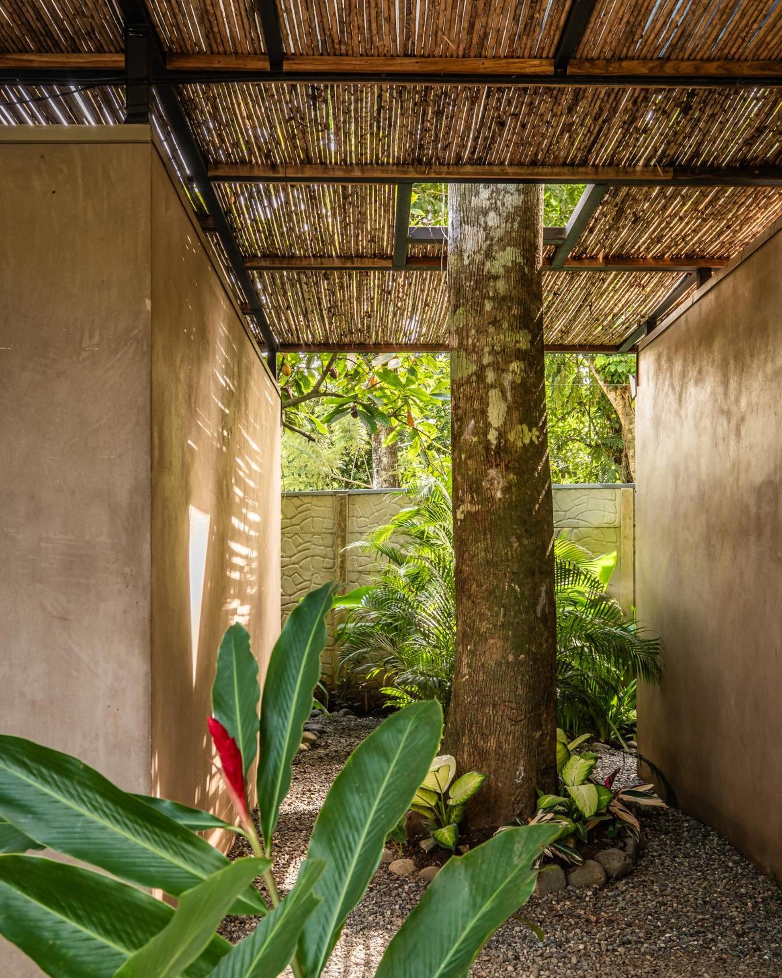 La Bonita Lodge Puerto Viejo de Talamanca Eksteriør billede