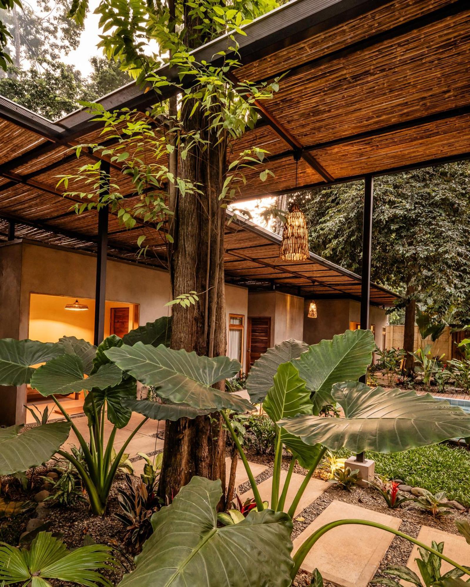 La Bonita Lodge Puerto Viejo de Talamanca Eksteriør billede
